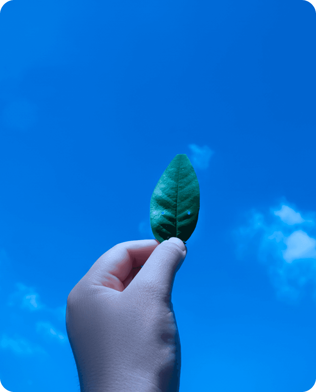 Green Returns-Investor Perspectives on ESG Startups Investments